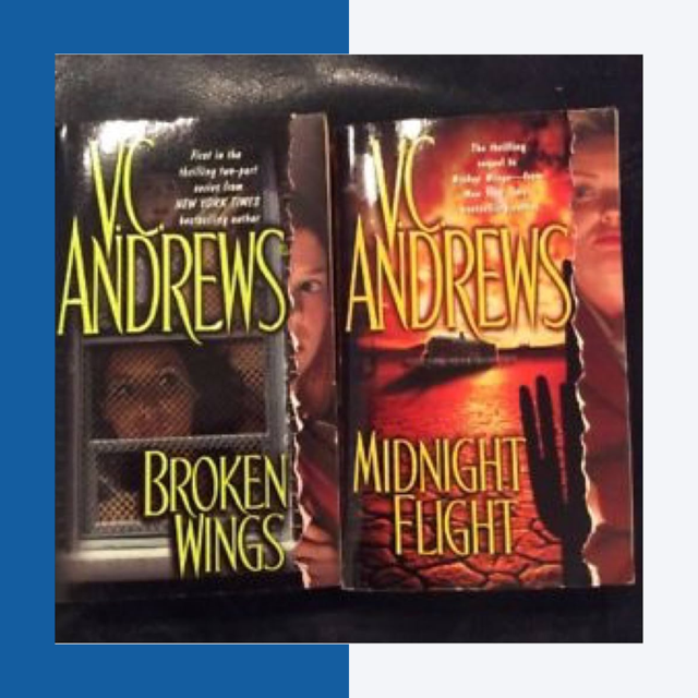 Broken Wings