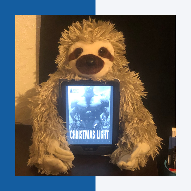 Mountain Man's Christmas Light