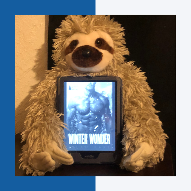 Mountain Man’s Winter Wonder