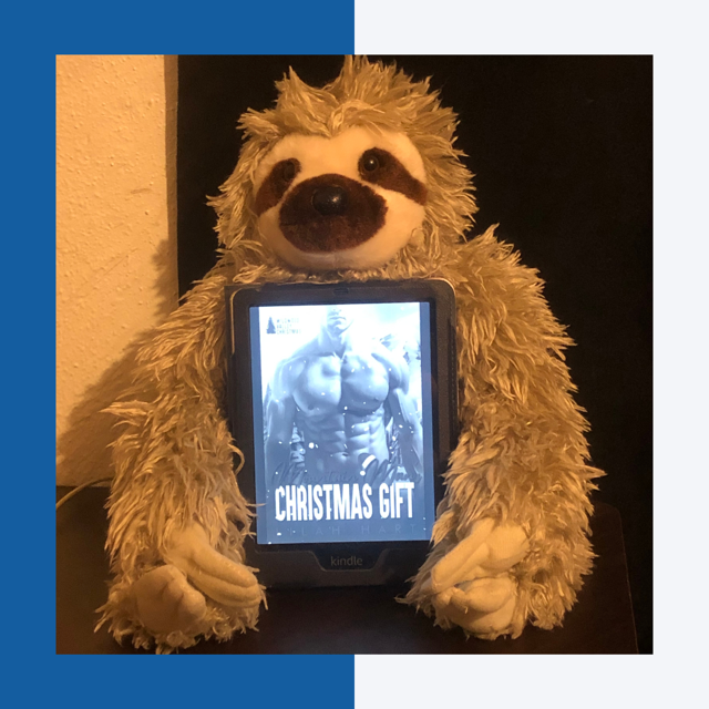 Mountain Man’s Christmas Gift